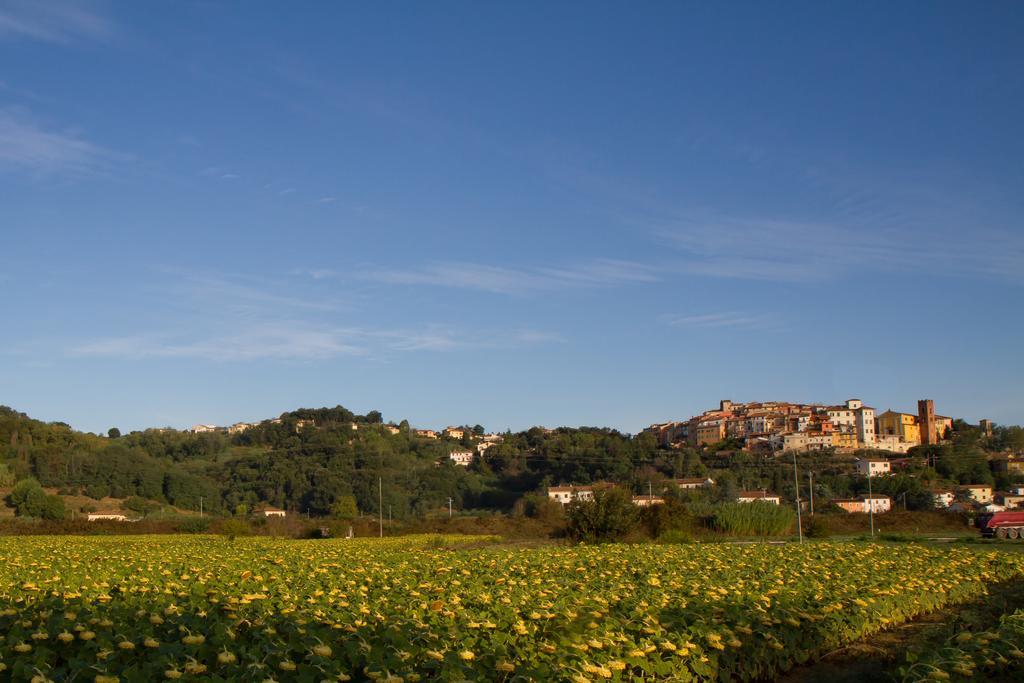 B&B Il Ramaiolo Santa Maria a Monte Exteriér fotografie
