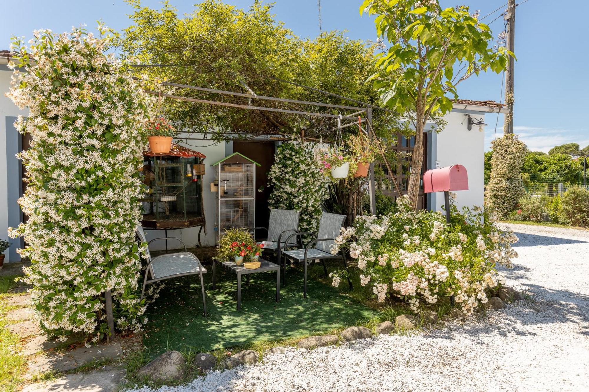 B&B Il Ramaiolo Santa Maria a Monte Exteriér fotografie